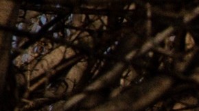 Rusia superaría el jueves la marca de los 100,000 soldados muertos.