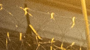 Migrantes Texas Greg Abbott