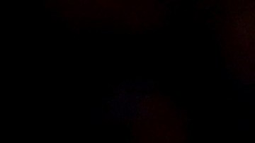 Golden State Warriors v New York Knicks