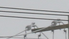 Policía del condado Nassau, Long Island (NY)/Archivo.