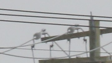 Policía del condado Nassau, Long Island (NY)/Archivo.