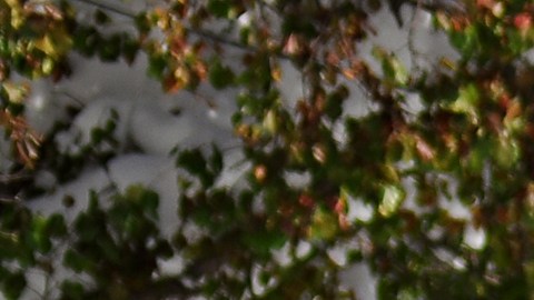 Nieve en Buffalo, NY