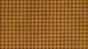 Pelé recibió el balón de oro honorífico en 2013