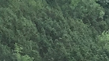 Hiking Across The Karwendel Mountain Range