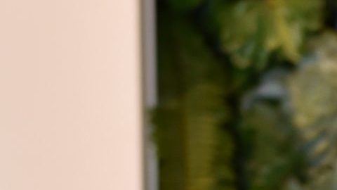 Oka Giner es conocida por ser parte del elenco de 'Corazón Guerrero' y 'Donde hubo fuego'.
