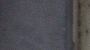 Florida Miami Estafa Fraude