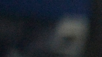 Yadier Molina dirigirá la novena de Puerto Rico en el Clásico