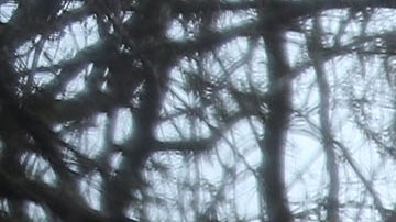 Puerto Rico Faces Extensive Damage After Hurricane Maria