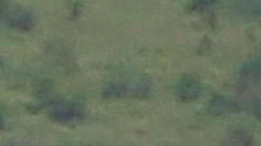 ARMY Puerto Rico Huracán María