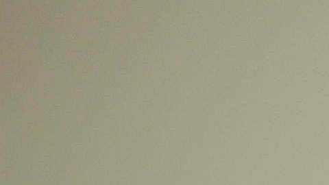 David Skeel, Junta de Control Fiscal