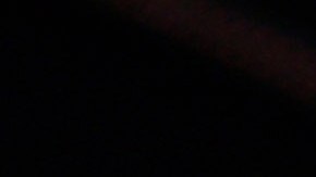 La cantante Tina Turner.