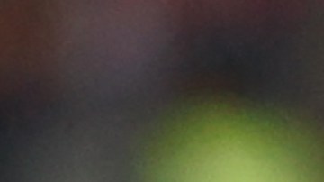 Gregg Berhalter lamenta la imprecisión ofensiva de EE.UU.: "No tenemos un Memphis Depay en este momento"