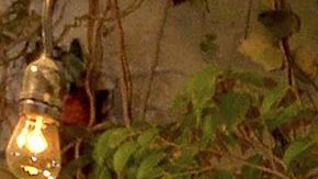 Héctor Sandarti es una de las estrellas de Telemundo, conductor de La Casa de los Famosos.