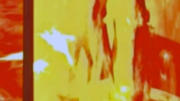 Servando y Florentino batieron récord con más de 20 mil personas en el concierto en Caracas