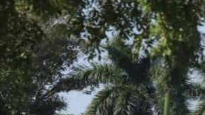 Ivanka Trump y Jared Kushner llevan un año esperando que finalice la construcción de su mansión.