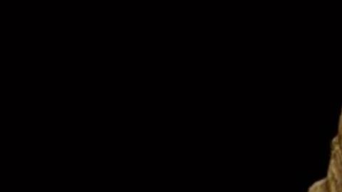 El cráneo de Woranso-Mille de Australopithecus anamensis.