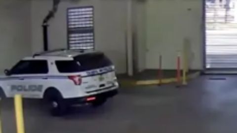 En el video aparece Gregory Damon arrastrando a una mujer.