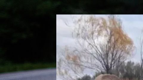 Los padres de los 3 niños murieron durante el accidente.