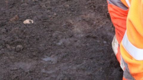 La arqueóloga Lea Mohr Hansen limpia huesos de animales encontrados junto con el esqueleto humano.