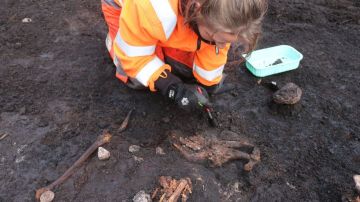 La arqueóloga Lea Mohr Hansen limpia huesos de animales encontrados junto con el esqueleto humano.