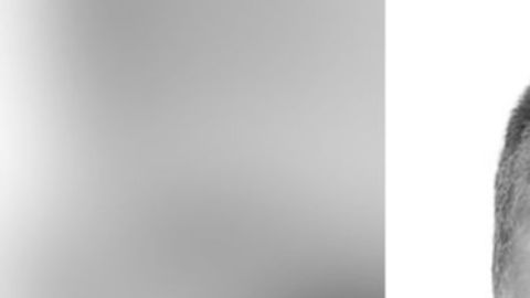 Joseph Augustus Zarelli fue identificado como "El niño de la caja".