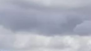 Devon O'Connell fue encontrado muerto en el parque.