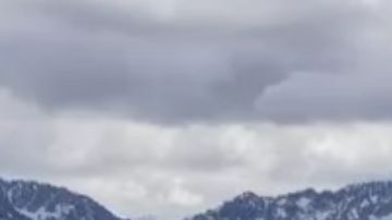 Devon O'Connell fue encontrado muerto en el parque.