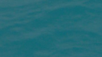 La Australian Maritime Safety Authority publicó la imagen del hombre aferrado al pedazo de madera.