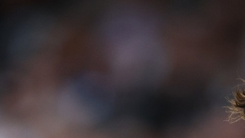 Ambos pitchers serán los As de sus respectivos equipos