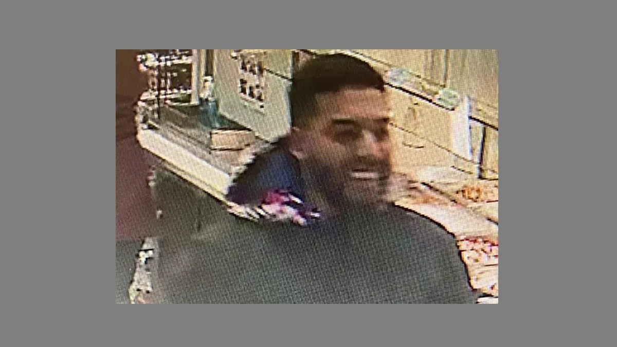 Policía de Nueva York identifica al sospechoso que apuñaló a una ...