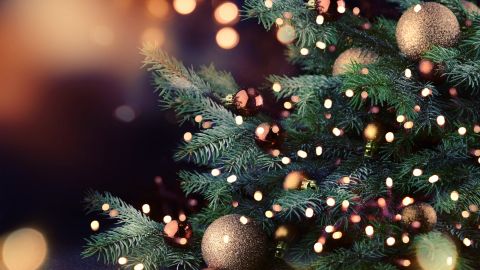 árbol de Navidad