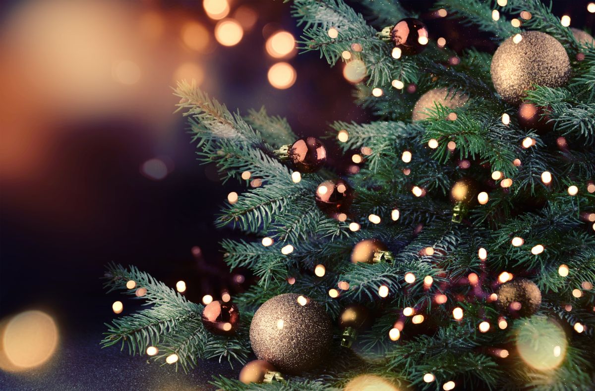 Algunas tradiciones pueden guiarte respecto a cuándo debes poner y quitar el árbol de Navidad.