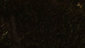 Mariana González y Vicente Fernández Jr.