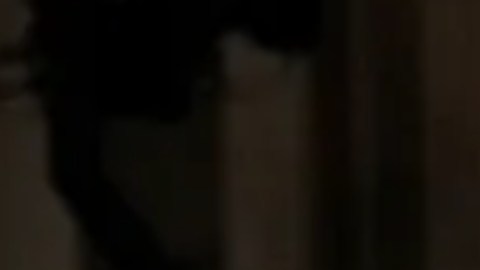 Príncipe Harry y Meghan Markle