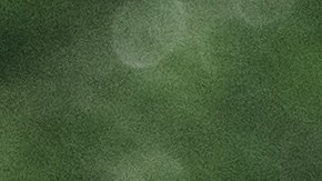 La actividad física entre los adultos mayores, es una forma de mantenerse saludable. (Photo by Da Ping Luo for NYRR).