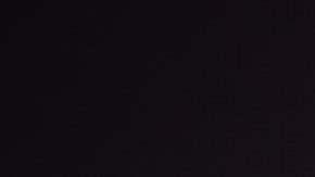 La cantante Mon Laferte.