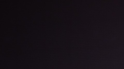 La cantante Mon Laferte.