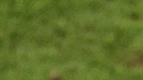 Las sanciones que FIFA podría imponer a los uruguayos Cavani, Godín, Giménez y Muslera por sus acciones en el Mundial