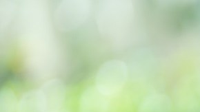 Tendencias de alimentos en TikTok