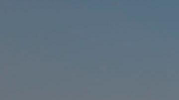 Camello Mundial Qatar 2022