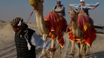 Camello Mundial Qatar 2022