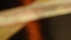 Cachetada Will Smith a Chris Rock