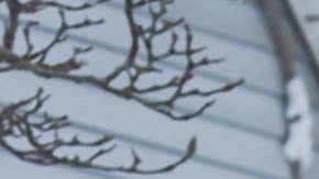 Labores de rescate en Buffalo NY, 26 de diciembre 2022.