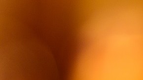Bebidas alcohólicas