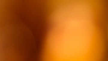 Bebidas alcohólicas