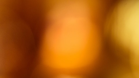 Bebidas alcohólicas