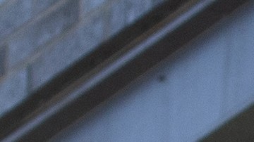 trabajo-infantil-crumbl-cookies