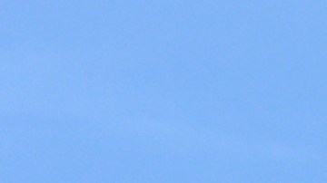 cvs-walgreens-analgesicos