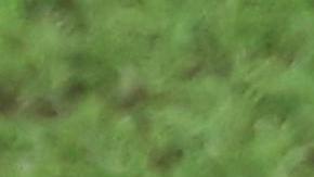 Cristiano Ronaldo agradeció a Portugal y a su afición por el apoyo brindado durante el Mundial.