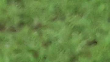 Cristiano Ronaldo agradeció a Portugal y a su afición por el apoyo brindado durante el Mundial.